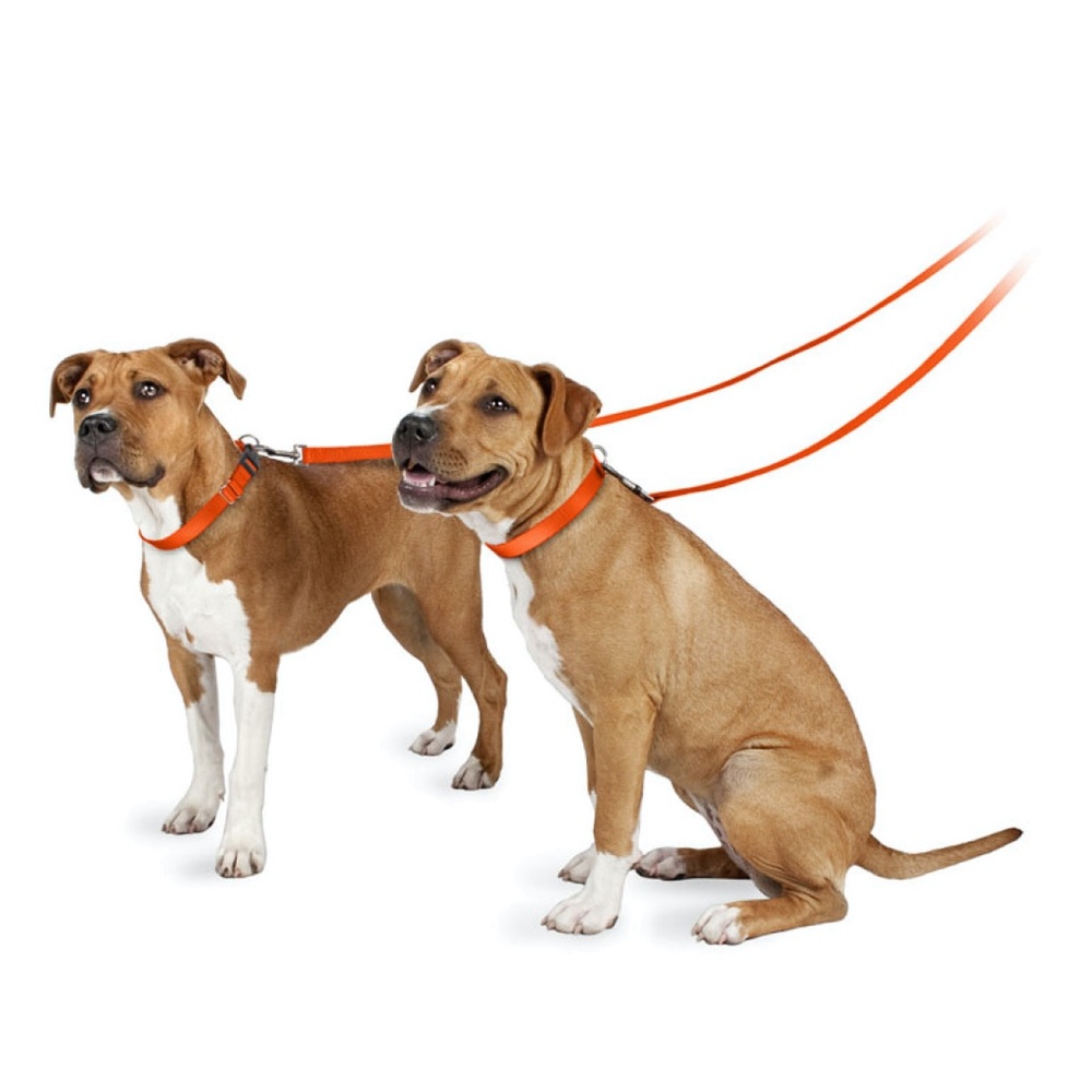 PetSafe | Nylon Dog Leash | Purple | 6ft x 3/4" - Picture 5 of 5